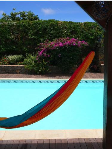 a hammock is hanging over a swimming pool at La Maison des Hôtes in Saint-Joseph