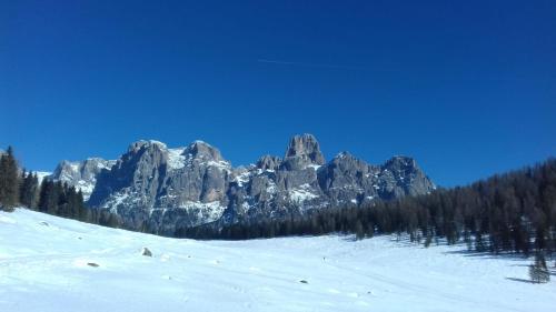 a snow covered mountain with trees in front of it at Casa Scalet in Fiera di Primiero