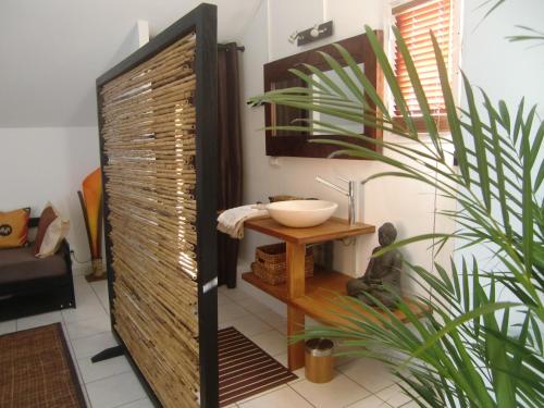 a bathroom with a sink and a table with a plant at villa ambralini in Saint-Pierre
