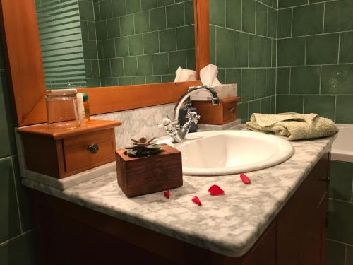 eine Badezimmertheke mit einem Waschbecken und einem Spiegel in der Unterkunft Chez Catharina Oldtimer B&B in Levoncourt