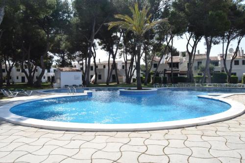 a large pool with a palm tree in the middle at Apartamentos Las Brisas I & II in Cala'n Bosch