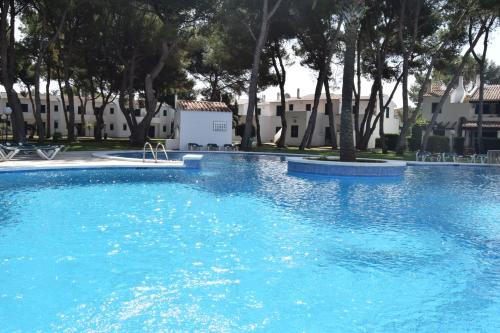 a large blue swimming pool with trees and buildings at Apartamentos Las Brisas I & II in Cala'n Bosch