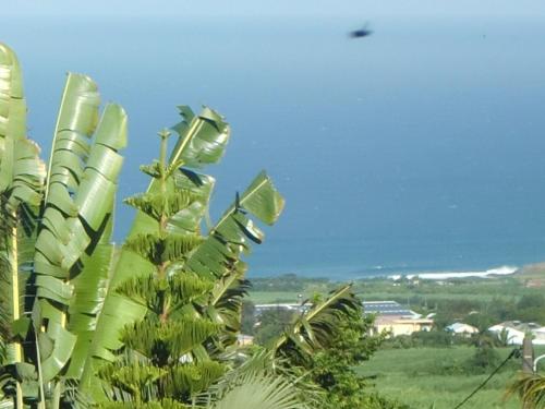 Un paisaje natural cerca of the bed and breakfast