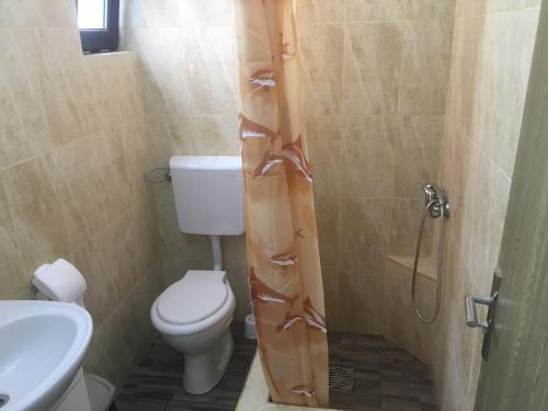 a small bathroom with a toilet and a shower at Laubert in Călimăneşti