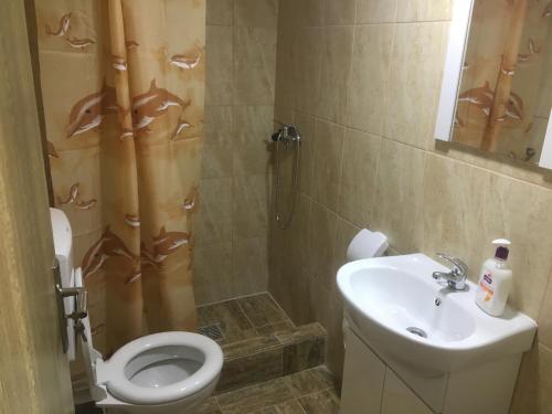 a bathroom with a shower and a toilet and a sink at Laubert in Călimăneşti