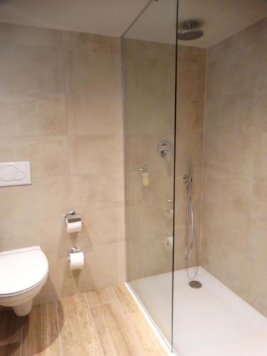 a bathroom with a shower and a toilet at Hotel le Fenil in Celles