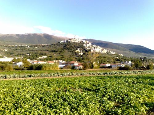 a town on top of a hill in a field at Il Borgo Dell'Ulivo in Trevi