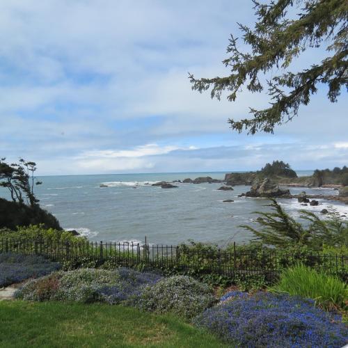 a view of the ocean from a yard at Tanbark Shores Guest Suite in Brookings