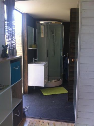 une salle de bain avec une douche avec un lavabo et une douche en verre dans l'établissement Les nuits insolites de la mothe - hébergement en bulle ou tiny house avec spa privatif, à Outremécourt