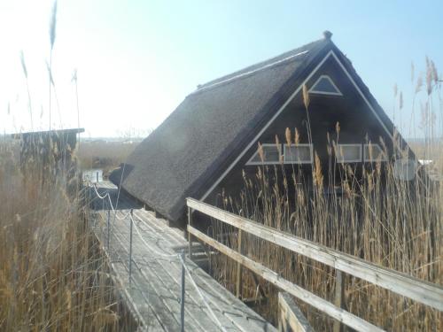 a barn with a black roof in a field at Pfahlbau Sunset I Toplage Elektroboot inklusive in Rust