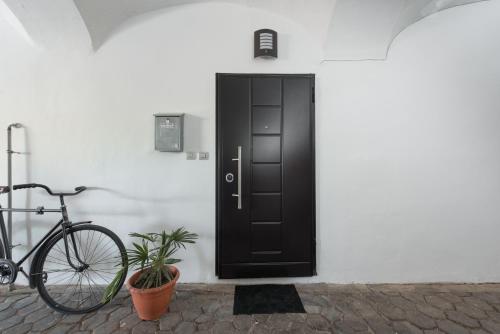 Ποδηλασία στο Royal Vega Apartment ή στη γύρω περιοχή