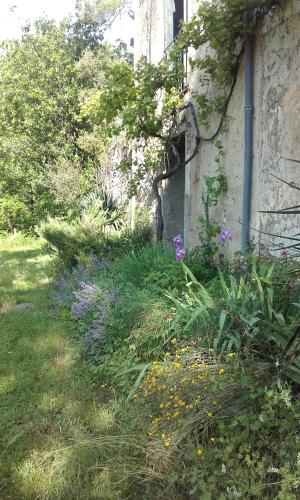 a garden with flowers in the grass next to a building at Mas Ferrieres Saint Laurent in Saint-Laurent-le-Minier