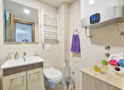 een badkamer met een toilet en een wastafel bij Apartman Alex Zlatibor in Zlatibor