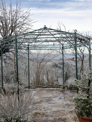 a metal arbor in the middle of a garden at La casa tra i vigneti in Montecalvo Versiggia