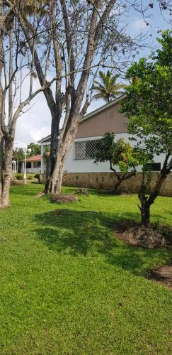 a group of trees in a yard with a building at La Toscana in Chinauta