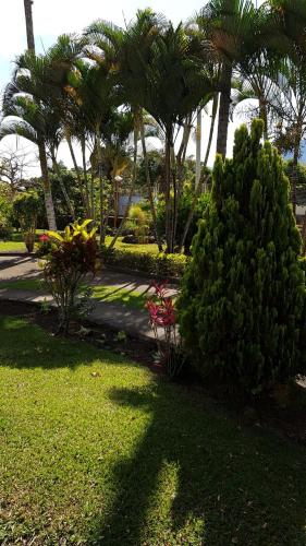 a garden with palm trees and plants in a park at La Toscana in Chinauta