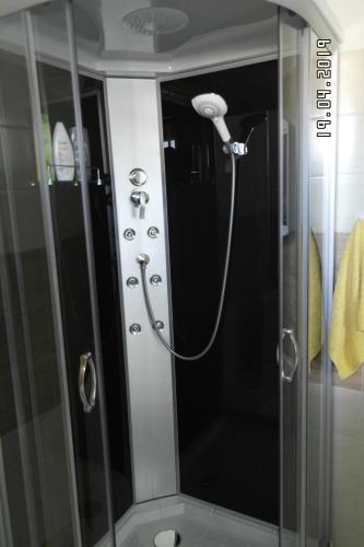 y baño con ducha y puerta de cristal. en U Sylwii, en Mikulášovice