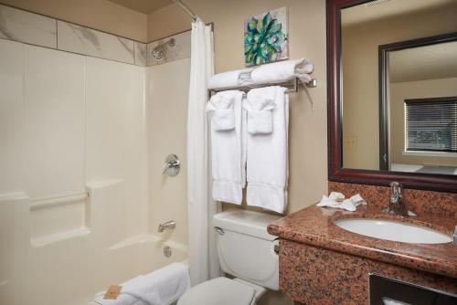 a bathroom with a sink and a toilet and a mirror at The Hotel Garibaldi in Garibaldi