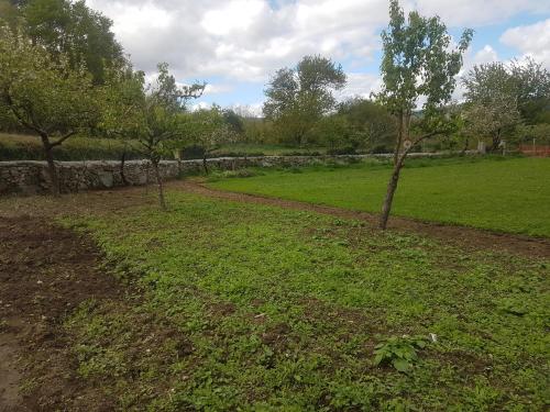 a field with two trees and a stone wall at Casa de Labranza Naz in Sober