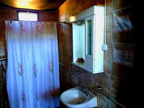 a bathroom with a sink and a shower curtain at Cabañas Sehuen in Uspallata