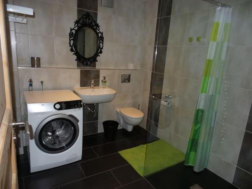 La salle de bains est pourvue d'un lave-linge et d'un lavabo. dans l'établissement Erdgeschosswohnung im Stadtzentrum, à Clèves