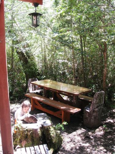 a woman sitting in front of a picnic table at Cabaña Tinquilco in Collentañe