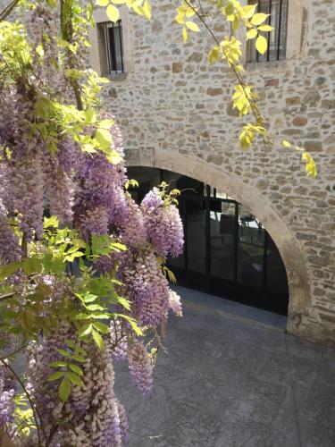a bunch of purple flowers hanging from a building at DOMAINE FORVENT in Saint-Julien-de-Peyrolas