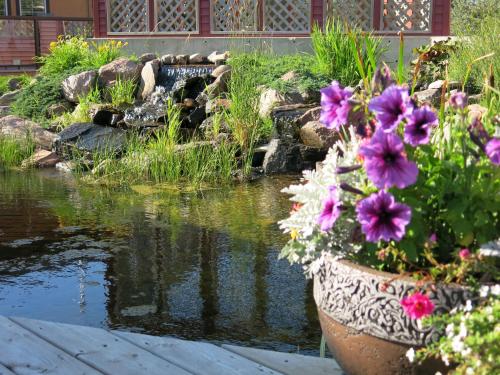 a garden with a pond and flowers and a fountain at Village Creek Country Inn in Westerose