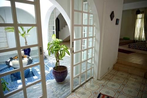 a hallway with an open door with a potted plant at Villa Talassa in Le Morne