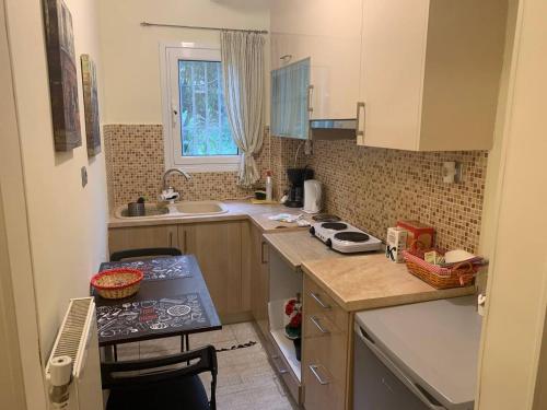 La Vie En Rose Studio,close to beach, Paleo Faliro