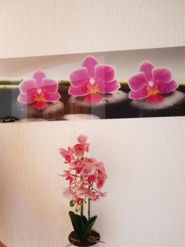 a group of pink flowers in a vase on a shelf at Guest House Plitvice Waterfall in Plitvička Jezera