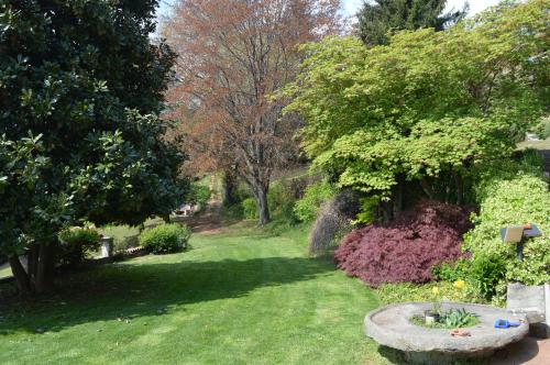 Jardín al aire libre en L'uovo e la faina