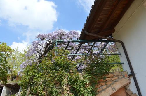 Jardín al aire libre en L'uovo e la faina