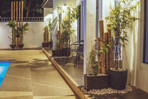 a room with potted plants on the side of a building at Quest Villa in Panglao