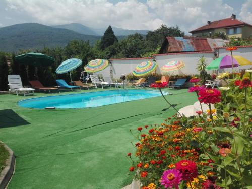 a swimming pool with green grass and umbrellas and flowers at Guest House Camellia in Berkovitsa