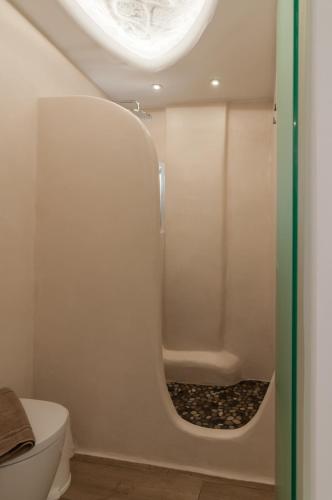 a bathroom with a toilet and a bath tub at Villa Adriana Hotel in Agios Prokopios