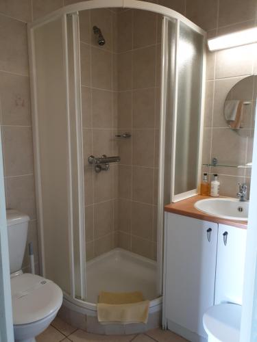 a bathroom with a shower and a toilet and a sink at Hostellerie Daiseldaele in Dadizele