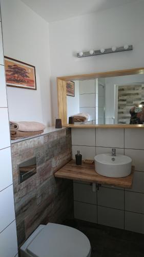 bagno con lavandino, servizi igienici e specchio di Homestay Willa Anna a Karpacz