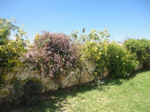 Un jardín fuera de Oruci Apartments