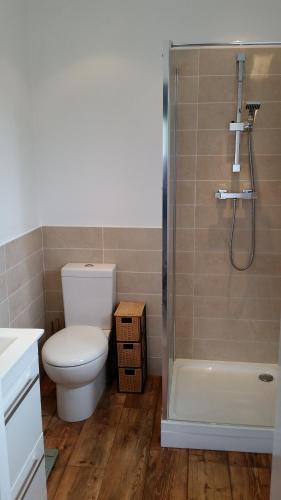 a bathroom with a toilet and a shower at Purbeck Escape in Wareham