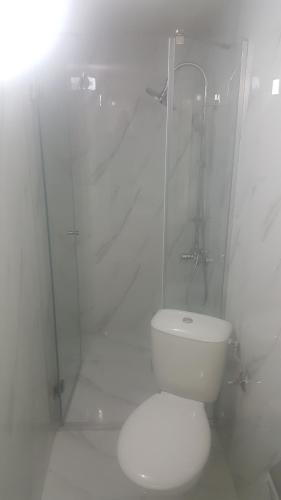 a white bathroom with a toilet and a shower at Villa Tikvesh Lake in Kavadarci