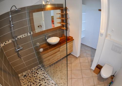 une salle de bain avec une douche avec un lavabo et un miroir dans l'établissement Villa Cosy - Grande capacité avec piscine, au Gosier