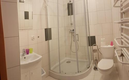 Kúpeľňa v ubytovaní APARTAMENTY ORLE