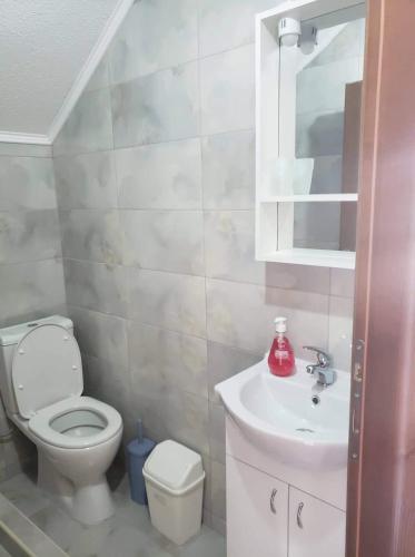 a bathroom with a toilet and a sink at Apartmani Ambiente in Plav