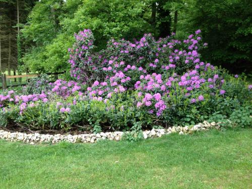 a flower garden with pink flowers in the grass at Roulotte du Petit Bois in Theillement