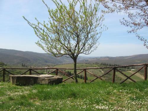 a tree sitting in a field next to a fence at Camere e Appartamenti Baldini Romanita in Radda in Chianti
