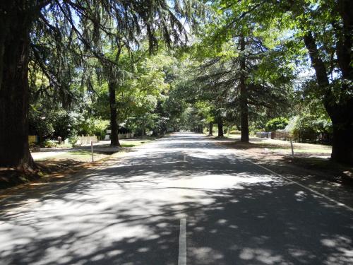 an empty road with trees on the sides of it at Motel Sierra - Bright in Bright
