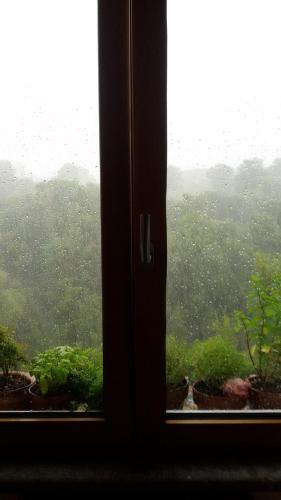 a window with a view of a field of trees at Nerone's - Sutri Bed & Dinner in Sutri