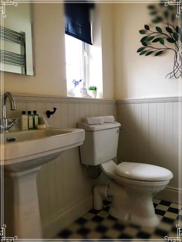 a bathroom with a toilet and a sink and a window at The Happy Pig in Kenmare