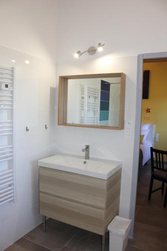 a bathroom with a sink and a mirror at DOMAINE FORVENT in Saint-Julien-de-Peyrolas